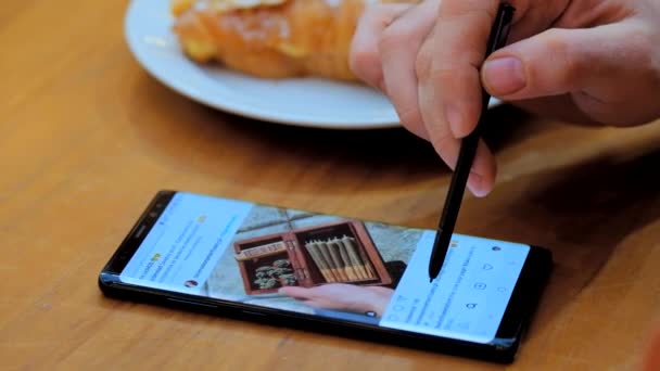 Человек смотрит фотографии о конопле с помощью смартфона и стилуса в кафе — стоковое видео