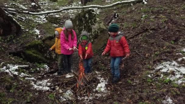 Los niños hacen un fuego en el bosque — Vídeo de stock