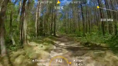 Yaz ormanında Pov bisiklet