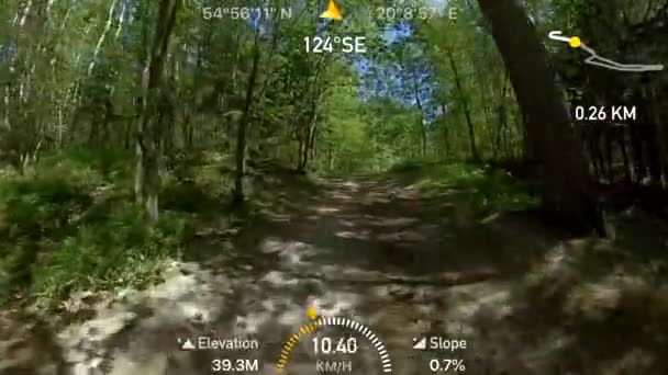 POV ποδηλασία στο καλοκαιρινό δάσος — Αρχείο Βίντεο