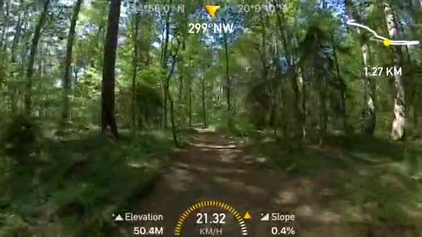 Bicicleta POV en el bosque de verano — Vídeo de stock