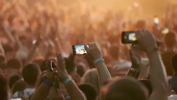 野外音楽祭で応援するファンの群衆 — ストック動画