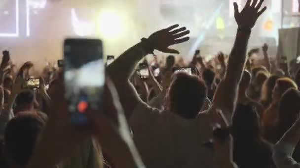 Skara fans jublande på Open-Air Music Festival — Stockvideo