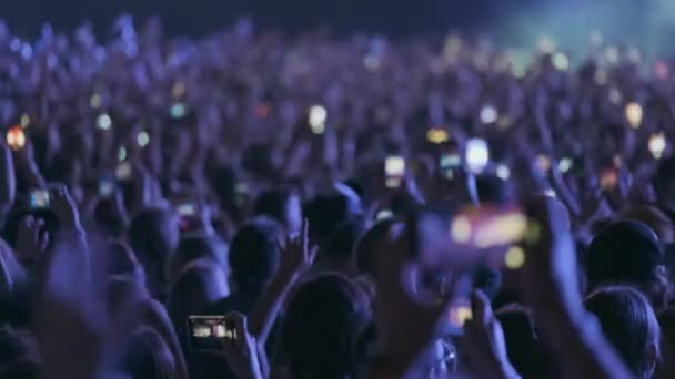 Multitud de fans animando en el festival de música al aire libre — Vídeo de stock