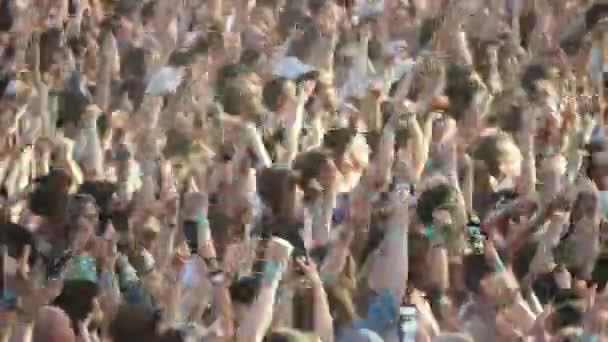 Menigte fans juichen op Open-Air muziekfestival — Stockvideo