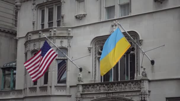 Ukrainian and American flags are fluttering — Stock Video