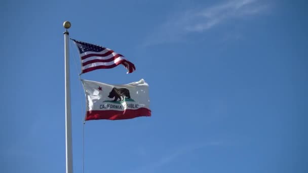 California Republic and American flags are waving — Stock Video