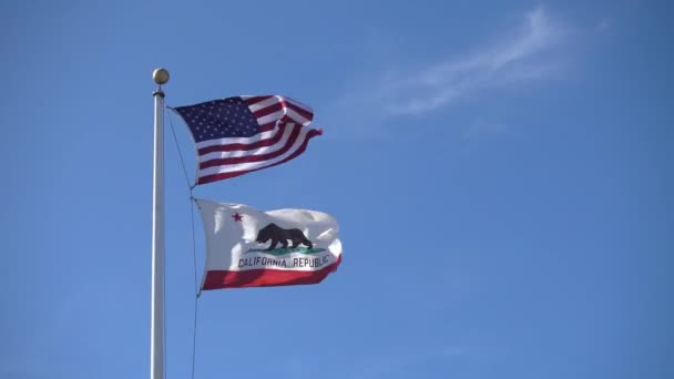 California Republic and American flags are waving — Stock Video