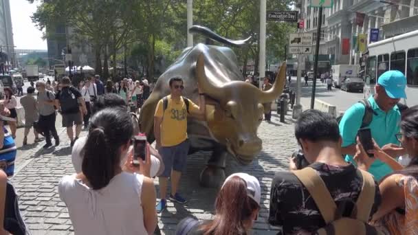 Los turistas están tomando fotos con una escultura de toro muy famosa en el Broadway . — Vídeo de stock