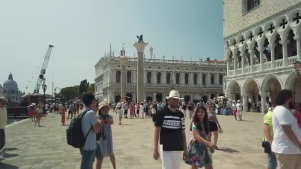 Turister sightseeing i Venices mest kända torg San Marco. — Stockvideo