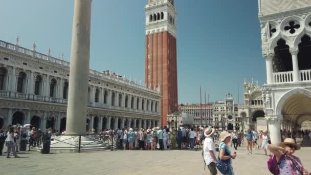 Touristen Sightseeing in Venedig berühmtesten Platz San Marco. — Stockvideo