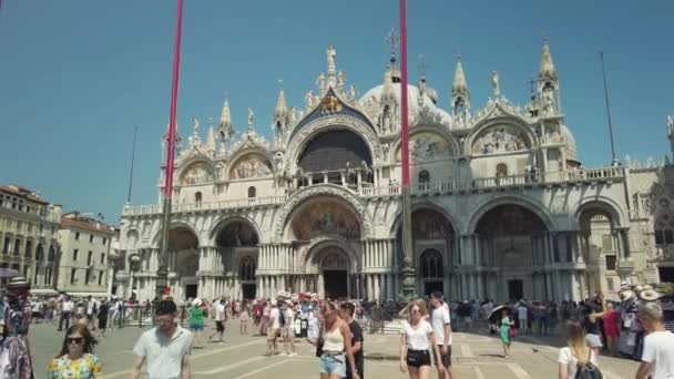 Turister sightseeing i Venices mest kända torg San Marco. — Stockvideo