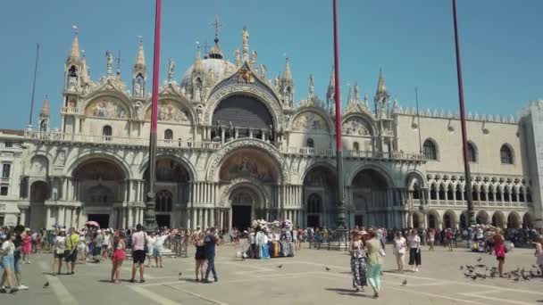 Turister sightseeing i Venices mest kända torg San Marco. — Stockvideo