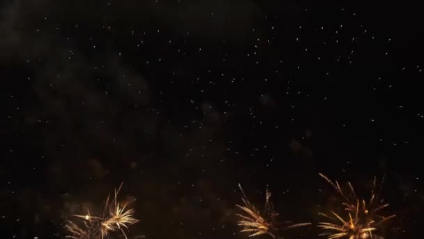 Coloridos fuegos artificiales en el cielo — Vídeo de stock