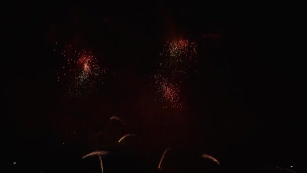 Coloridos fuegos artificiales en el cielo — Vídeo de stock