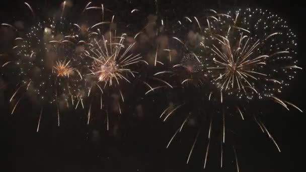 Coloridos fuegos artificiales en el cielo — Vídeo de stock