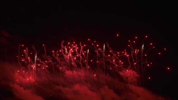 Kleurrijke vuurwerk in de lucht — Stockvideo