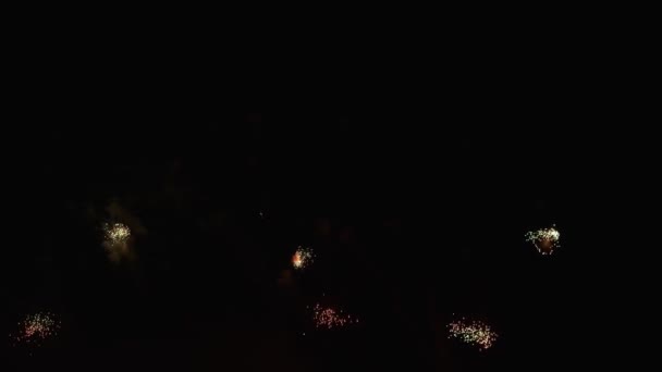 五彩缤纷的焰火在天空 — 图库视频影像