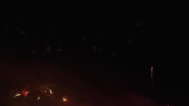 Feux d'artifice colorés dans le ciel — Video