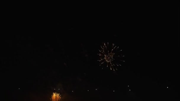 Fogos de artifício coloridos no céu — Vídeo de Stock