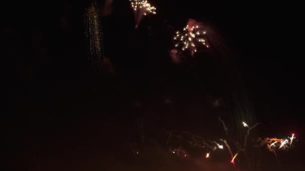 Coloridos fuegos artificiales en el cielo — Vídeos de Stock