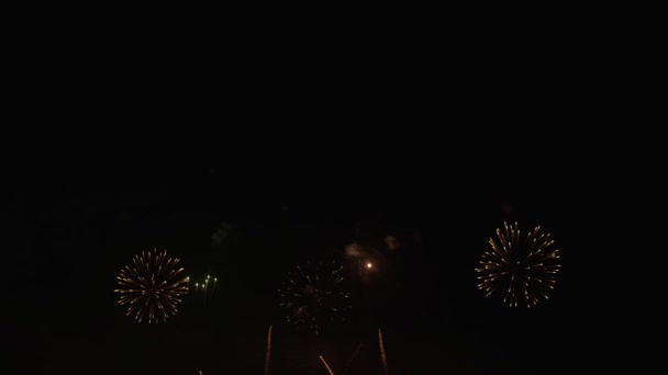 Coloridos fuegos artificiales en el cielo — Vídeos de Stock