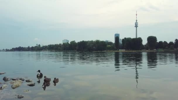 Evening landscape, view of Vienna TV tower from the Danube River — Stock Video