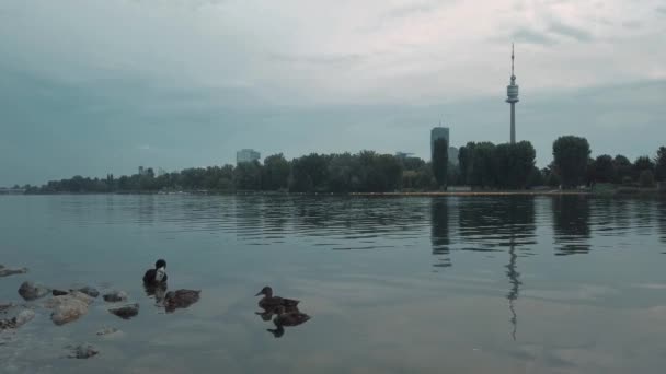 Evening landscape, view of Vienna TV tower from the Danube River — Stock Video