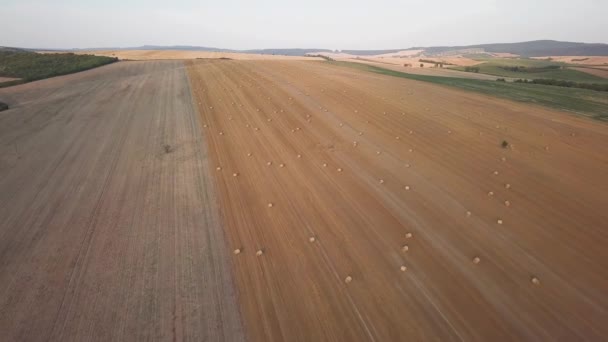 Runde getrocknete Heuhaufen auf dem Feld — Stockvideo