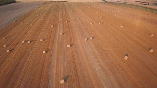 田里的干干干干枯的干草堆 — 图库视频影像
