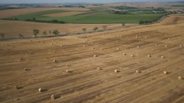 Tarlada kurumuş samanlıklar var.