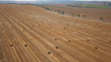 Tarlada kurumuş samanlıklar var.