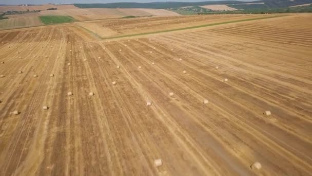 場内の丸い乾燥した干し草 — ストック動画