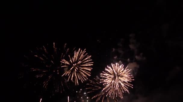 Coloridos fuegos artificiales en el cielo nocturno — Vídeo de stock