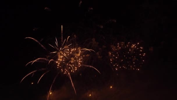 Coloridos fuegos artificiales en el cielo nocturno — Vídeos de Stock