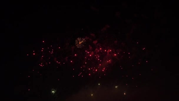 カラフルな花火は、夜空に — ストック動画