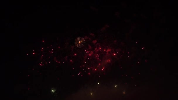 Fogos de artifício coloridos no céu noturno — Vídeo de Stock