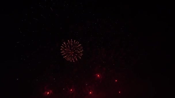 Πολύχρωμα πυροτεχνήματα στον ουρανό νύχτας — Αρχείο Βίντεο