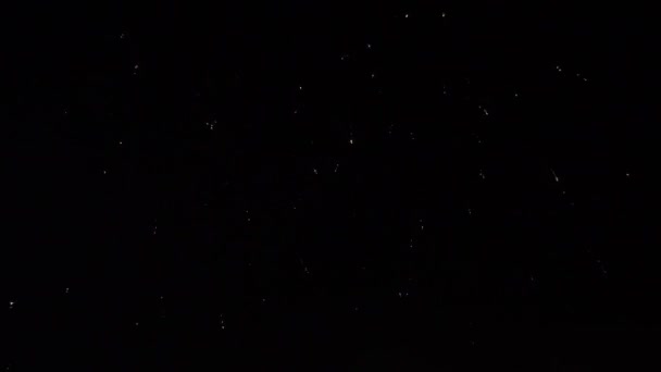 Красочные фейерверки в ночном небе — стоковое видео