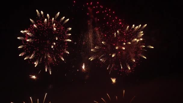 Kleurrijke vuurwerk in de nachtelijke hemel — Stockvideo