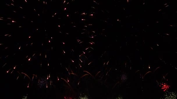 Colorful fireworks in night sky — Stock Video