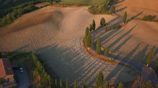 意大利托斯卡纳的弯曲或醉酒道路 — 图库视频影像