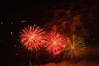 Gece gökyüzünde renkli havai fişek