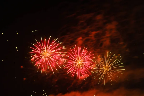 Gece gökyüzünde renkli havai fişek