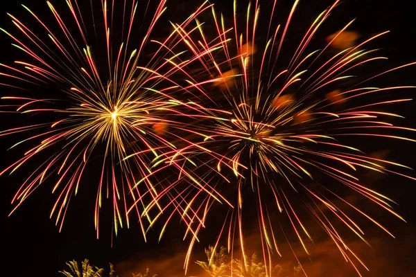 Gece gökyüzünde renkli havai fişek