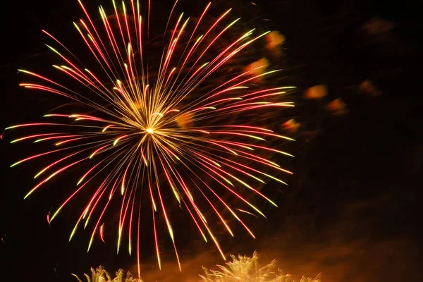 Gece gökyüzünde renkli havai fişek