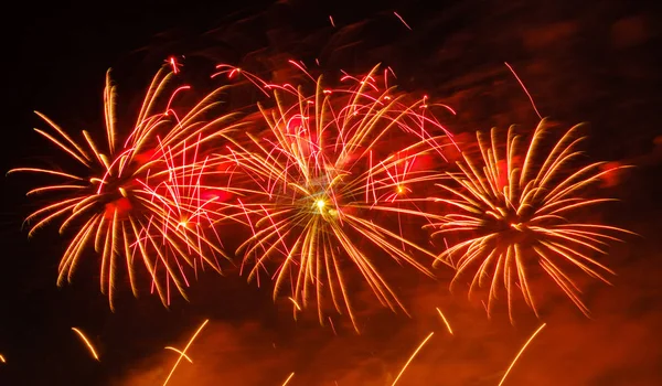 Gece gökyüzünde renkli havai fişek