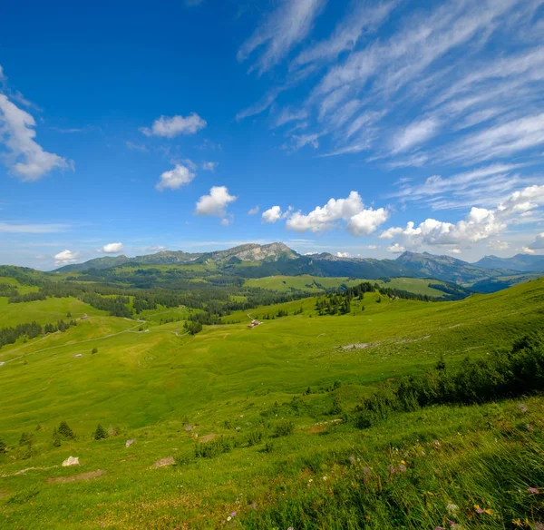 Yaz saati dağ panoramik manzarası İsviçre — Stok fotoğraf