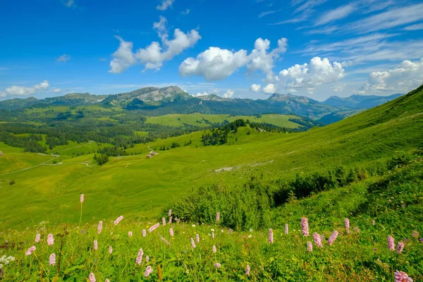 Paisaje panorámico de montaña de verano en Suiza —  Fotos de Stock