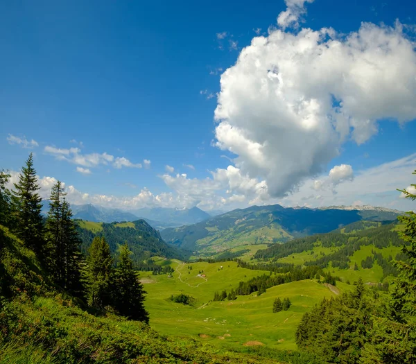 Letní čas horské panoramatické krajiny ve Švýcarsku — Stock fotografie